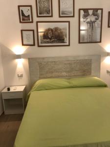 莱乌卡Estatesalento的一间卧室配有一张绿色的床,墙上挂着图片