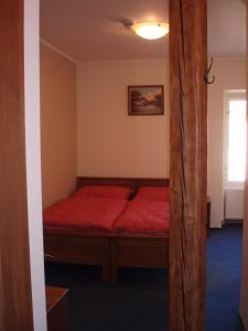 帕尔杜比采姆拉泽克酒店的一间在房间内配有红色床的卧室