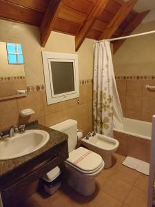 格塞尔镇Apart Agustina的浴室配有盥洗盆、卫生间和浴缸。