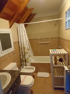 格塞尔镇Apart Agustina的浴室配有卫生间、盥洗盆和淋浴。