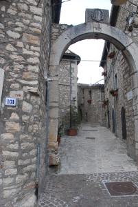 CastropignanoLe case all'arco的石头建筑中一条带拱门的小巷