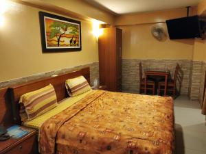 利马Hotel Dia y Noche的一间卧室设有一张大床和一个壁炉