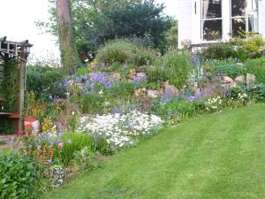 康威Glan Heulog的院子里种着五颜六色花的花园