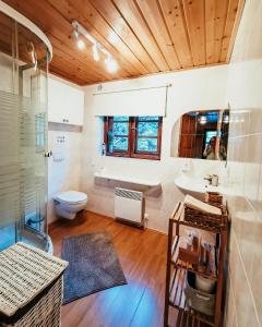 瓦森Lupshalte的浴室配有卫生间和水槽。