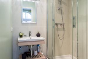 第戎Appartement - Petit Buffon的一间带水槽和淋浴的浴室