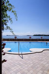 加尔多内-里维耶拉加尔多内大酒店的享有水景的大型游泳池