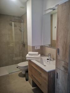 塔里法LA TRAMONTANA DEL SUR的一间带水槽、卫生间和淋浴的浴室