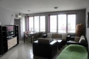 弗尔沙茨Apartment Natasa的带沙发、电视和桌子的客厅