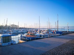 锡耶Léman Holidays - Le Blue Sky的停靠在港口的一群船