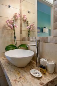 圣加利尼阿夫拉住宿加早餐旅馆的一个带白色碗水槽的柜台浴室