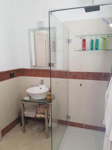 代森扎诺-德尔加达APPARTAMENTO LAKE GARDA ibiscus di Francia的一间带水槽和玻璃淋浴的浴室