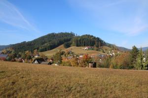 拜尔斯布龙Luxus-Landhaus im Schwarzwald/Baiersbronn mit Pool的山丘上一片草地,有村庄