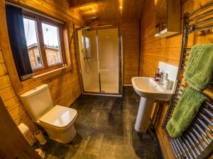 克兰伯恩New Forest Lodges的浴室配有卫生间、淋浴和盥洗盆。