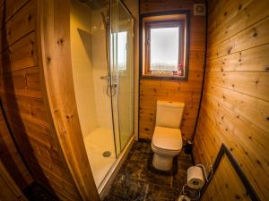 克兰伯恩New Forest Lodges的一间带卫生间和淋浴的小浴室