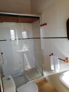 佩里那拉斯维加斯科尔蒂霍酒店的带淋浴、卫生间和盥洗盆的浴室