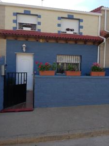 Villahermosa del CampoCasa Orwa-VUT 029-2020 Turismo Teruel的墙上挂着盆栽植物的蓝色房子