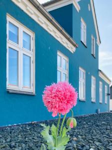 海尔斯Det blågrønne Hus的蓝色建筑前的粉红色花