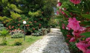 维耶斯泰Residence Polidoro的一条花园小径,花粉色,路灯亮