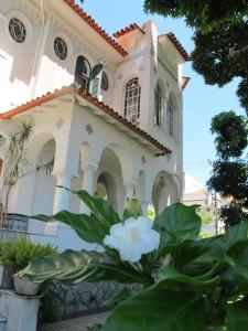 里约热内卢比安卡旅馆的建筑前的白色花