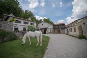 塞扎纳Tmbin's barn - nature, horses, family的相册照片