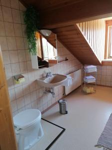 巴德哥依斯恩Ferienwohnung am Bauernhof Koa的一间带水槽和卫生间的浴室