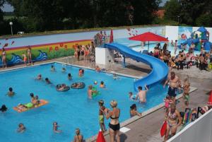 泽尔赫姆Vakantiepark de Betteld的一群人,在水上公园的游泳池里