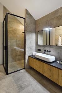 杜柏DURBUY SUITES的一间带水槽和玻璃淋浴的浴室