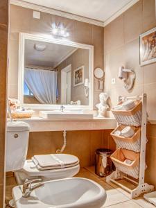科英布拉阿连特亚纳住宅酒店的一间带卫生间、水槽和镜子的浴室