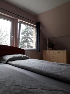 TahitótfaluPanna tanya的一间卧室设有一张大床和一个窗户。