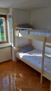 Spodnje ŠkofijeGuesthouse Škofije ob Parenzani的客房设有三张双层床和一扇窗户。