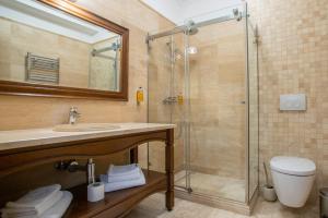 上维谢乌加布里埃拉酒店的带淋浴、盥洗盆和卫生间的浴室