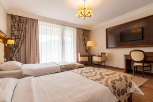 上维谢乌加布里埃拉酒店的酒店客房配有两张床和一张书桌