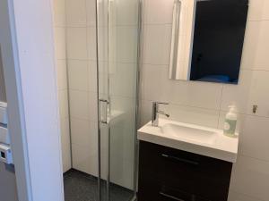 SkalandBEDEHUSET Basecamp Senja的一间带水槽和玻璃淋浴的浴室