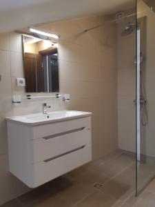 布德瓦贝西奇公寓的浴室配有白色水槽和淋浴。