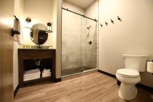 CrosbyCrosby Lofts的带淋浴、卫生间和盥洗盆的浴室
