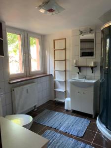 Gartz an der OderVilla 25的一间带水槽和淋浴的小浴室