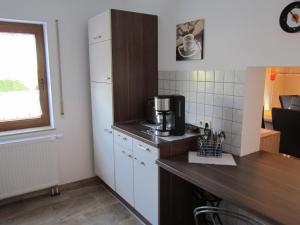 辛斯海姆Ferienwohnung Sonja Sinsheim的厨房配有白色冰箱和台面
