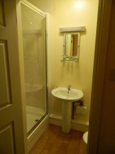 Lanchester皇家橡木宾馆的一间带水槽和淋浴的浴室