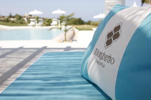 特罗佩阿Il Borghetto Creative Resort的游泳池旁的蓝色和白色充气滑梯