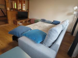 格尔兹维尔Holzhaus bei Interlaken的客厅配有带蓝色枕头的沙发
