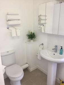 贝辛斯托克Basingstoke En Suite Room in Garden Annex的白色的浴室设有卫生间和水槽。