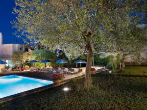 阿尔贝罗贝洛Hotel Colle Del Sole的一个带树、椅子和遮阳伞的游泳池