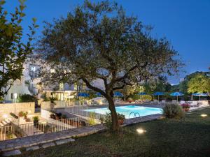 阿尔贝罗贝洛Hotel Colle Del Sole的夜晚在游泳池前的树