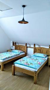 JirkovVila v Podkrušnohoří的天花板客房内的两张单人床