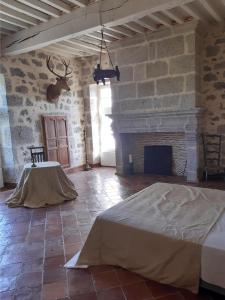内拉克Château de Cauderoue的一间大房间,设有壁炉和一张床