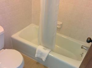 佩里斯堡托莱多-佩里斯堡汽车旅馆的浴室配有白色卫生间、浴缸和水槽。