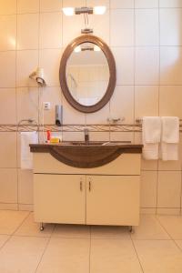 德瓦维恩酒店的一间带水槽和镜子的浴室