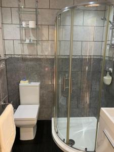 惠特比朗塞斯顿别墅酒店的带淋浴和卫生间的浴室