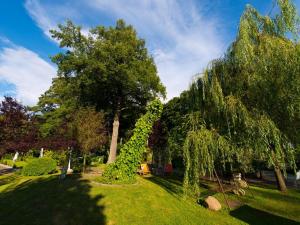 Lanke海城酒店的阳光明媚的日子里,公园里绿树成荫,绿草成荫