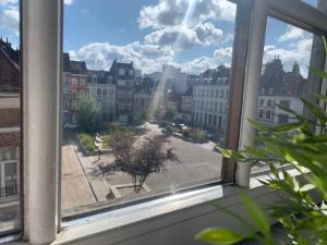 里尔SOUVENIRS VIEUX LILLE Apartment 2 Chambres 24H24H Access的市景窗户